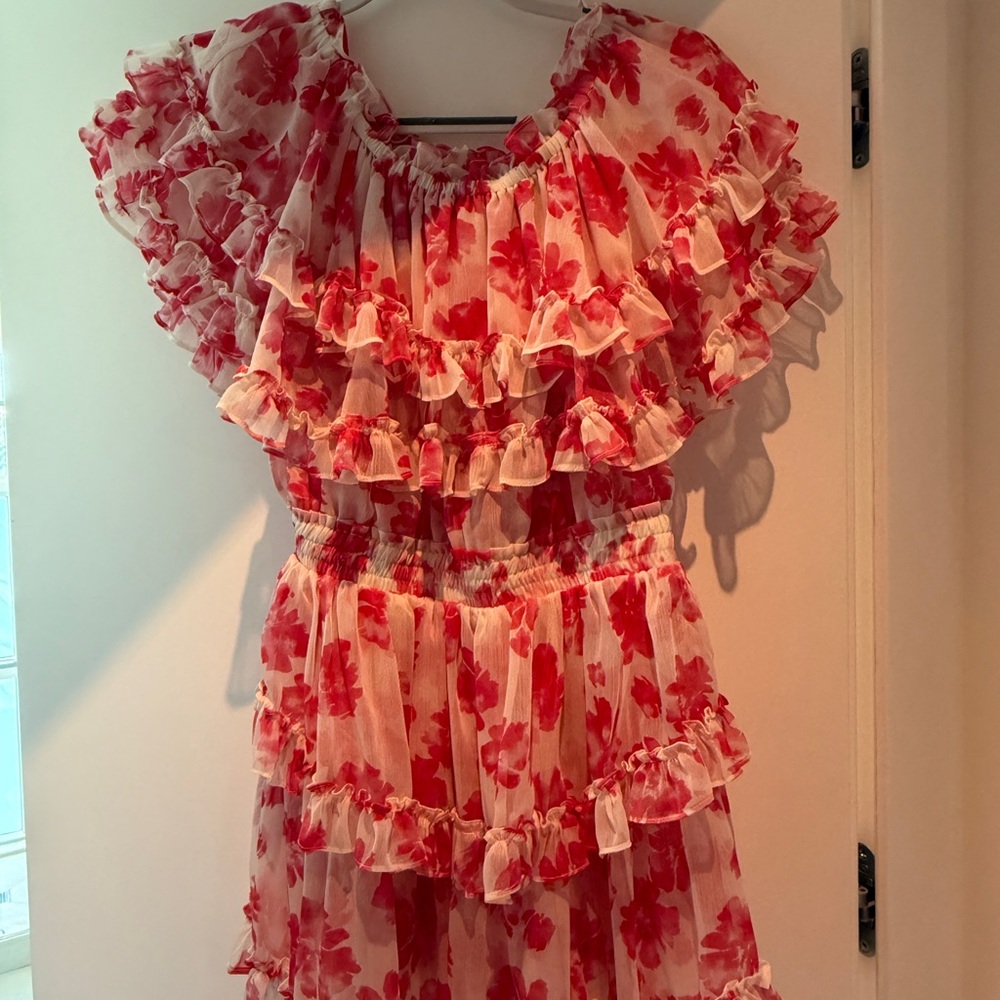 Misa Los Angeles Red Floral Mini Dress